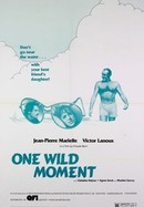 One Wild Moment poster image