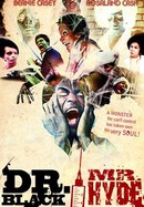 Dr. Black and Mr. Hyde poster image