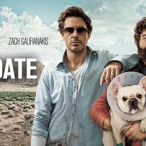 Due date sale 2010