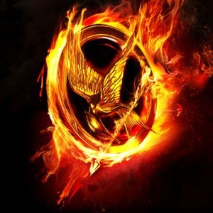 The Hunger Games photo 13