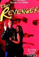 The Revenger poster image