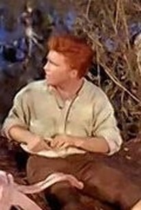 Bonanza: Season 7, Episode 13 | Rotten Tomatoes