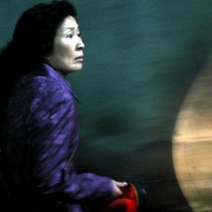 MOTHER, (aka MADEO), KIM Hye-ja, 2009. ©Magnolia Films