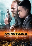 Montana poster image