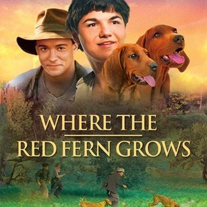 where the red fern grows rating