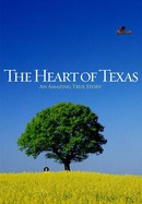 The Heart of Texas poster image