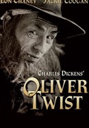 Oliver Twist poster image