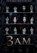 3 A.M. poster image
