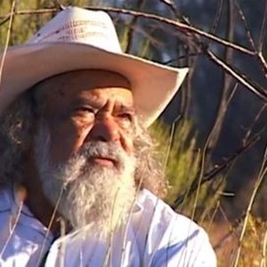 Aboriginal reincarnation image