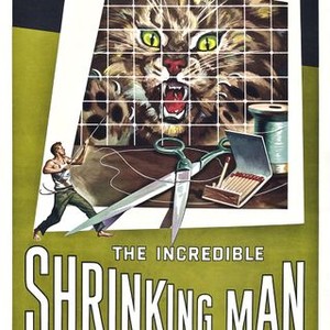 The Incredible Shrinking Man (1957) photo 16