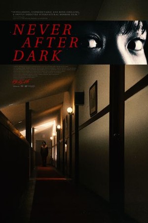 Never After Dark poster