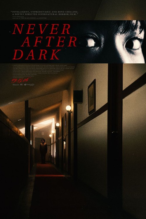 Never After Dark poster