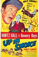 Up in Smoke poster image