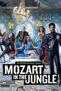 Mozart In The Jungle Season 1 Rotten Tomatoes