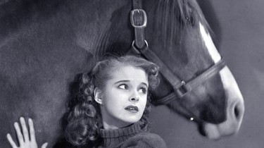 Black Beauty (1946) | Rotten Tomatoes