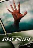 Stray Bullets poster image