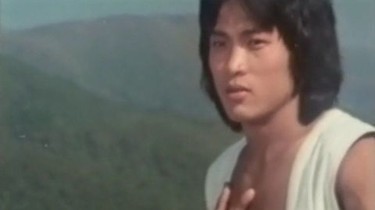 Jackie Chan and 36 Crazy Fists | Rotten Tomatoes