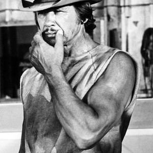 Breakout (1975)