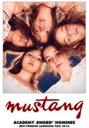 Mustang poster image