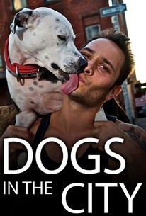 Dogs in the City | Rotten Tomatoes