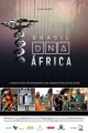 Brasil - DNA África