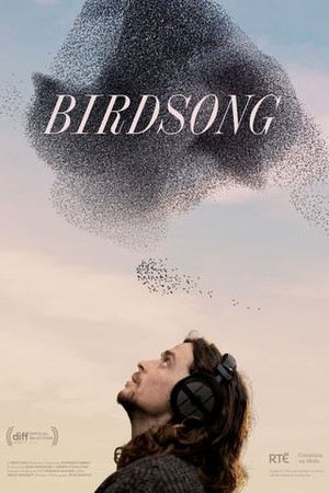 Birdsong poster