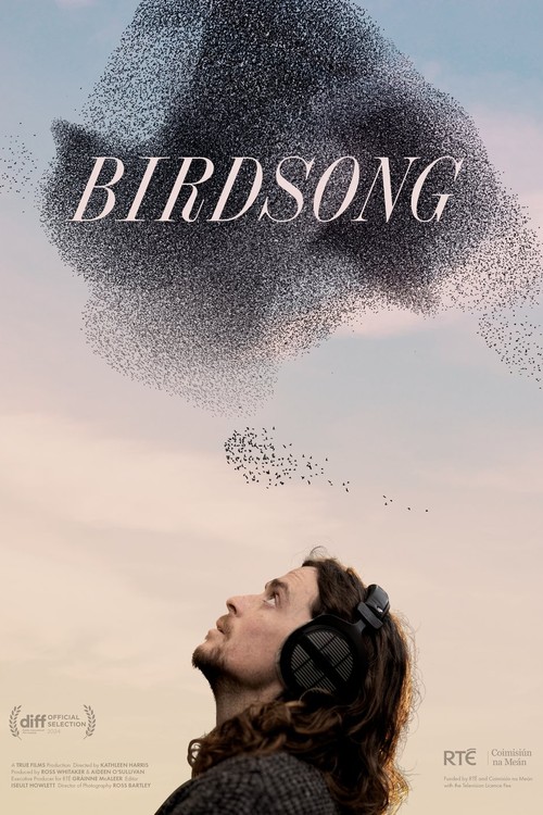 Birdsong poster