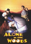 Alone in the Woods poster image