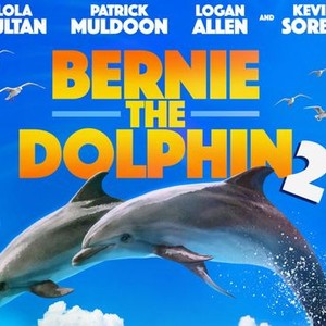 Bernie the Dolphin 2 photo 1