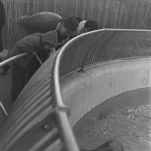 "Garry Winogrand: All Things Are Photographable photo 13"