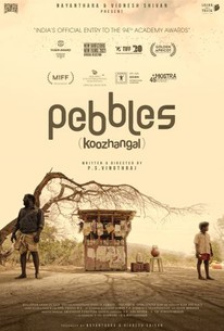 Watch trailer for Pebbles