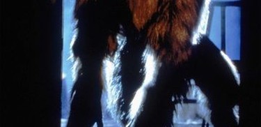 The Curse of the Werewolf - Rotten Tomatoes