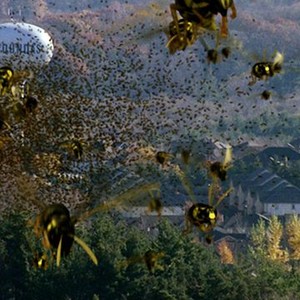 Swarmed (2005) photo 6