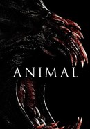 Animal poster image