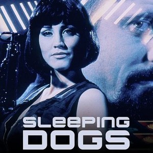 "Sleeping Dogs photo 3"