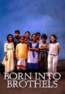 Born Into Brothels poster image