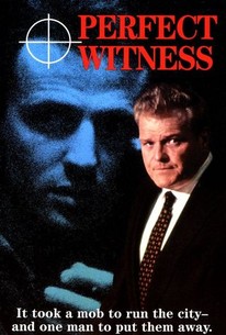 Perfect Witness | Rotten Tomatoes