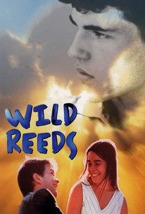 Wild Reeds poster