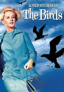 The Birds poster image