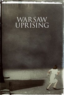 Warsaw Uprising poster