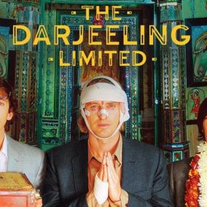 Mark Friedberg  The Darjeeling Limited