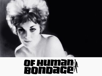 Poop Of Human Bondage 1946 Rotten Tomatoes