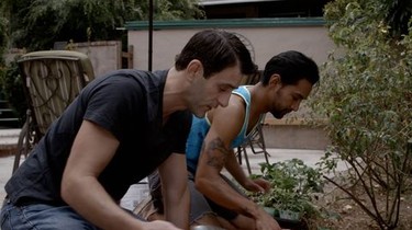 Say Yes (2018) | Rotten Tomatoes