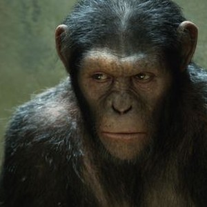 "Rise of the Planet of the Apes photo 6"