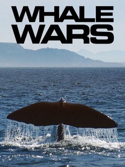 Whale Wars: Season 1 | Rotten Tomatoes