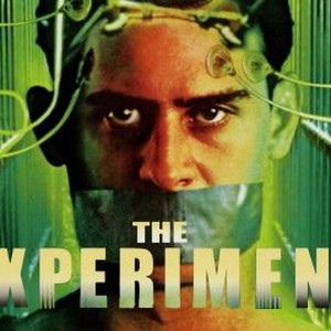 The Experiment photo 4