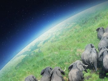 Planet earth discount 2 stream hd
