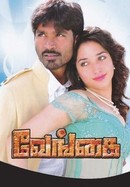 Venghai poster image