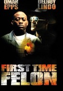 First Time Felon poster image