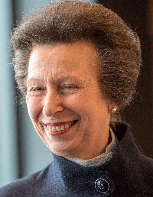 Princess Anne - Rotten Tomatoes